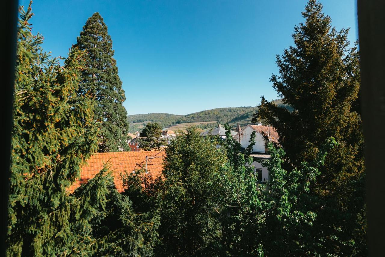 Domaine Boheme I Art De Vivre Διαμέρισμα Guebwiller Εξωτερικό φωτογραφία