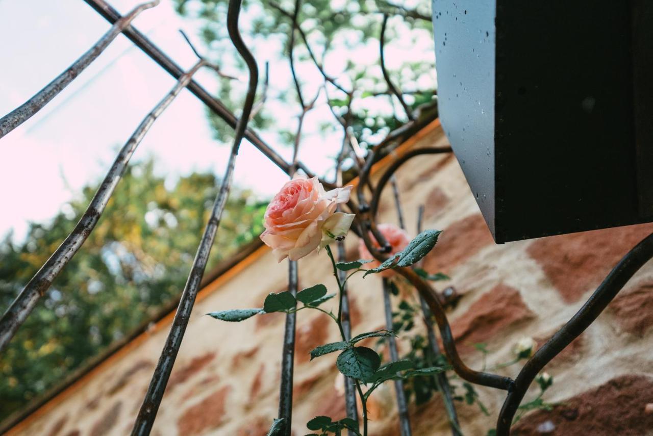 Domaine Boheme I Art De Vivre Διαμέρισμα Guebwiller Εξωτερικό φωτογραφία